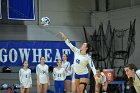 VB vs Salve  Wheaton Women’s Volleyball vs Salve Regina University. : volleyball